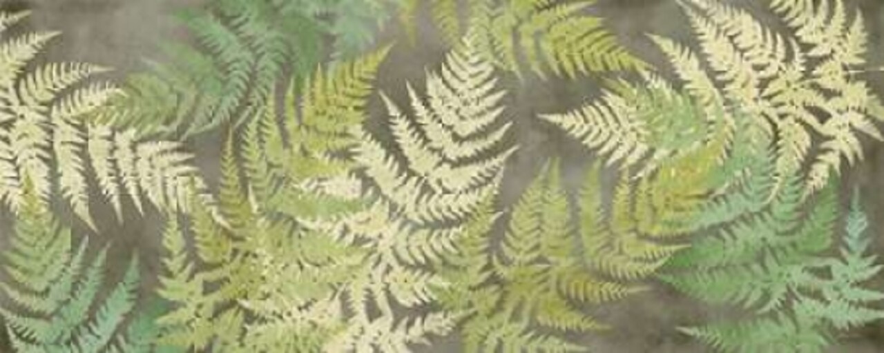 Majestic Ferns on Gray Panel Poster Print by Cynthia Coulter - Item # VARPDXRB11347CC